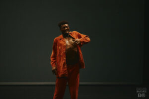 Brava Studio 2